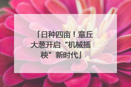 日种四亩！章丘大葱开启“机械插秧”新时代