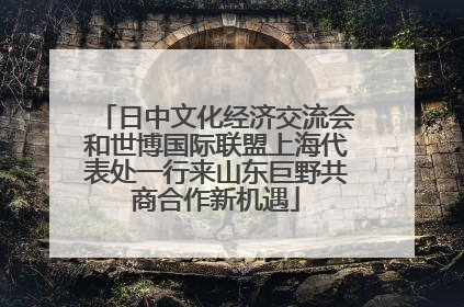 日中文化经济交流会和世博国际联盟上海代表处一行来山东巨野共商合作新机遇