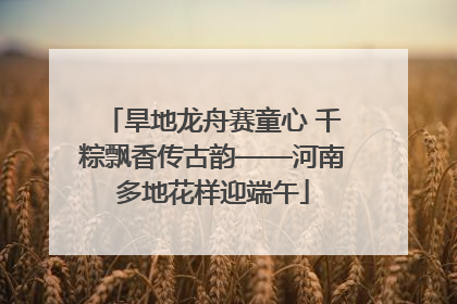 旱地龙舟赛童心 千粽飘香传古韵——河南多地花样迎端午