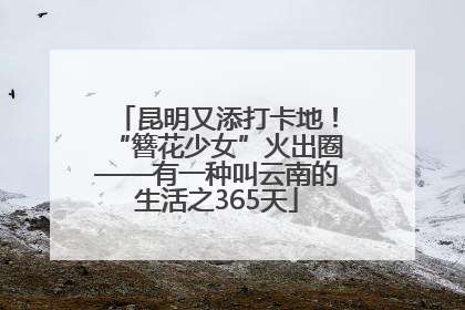 昆明又添打卡地！“簪花少女”火出圈——有一种叫云南的生活之365天