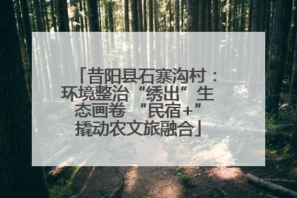 昔阳县石寨沟村：环境整治“绣出”生态画卷 “民宿+”撬动农文旅融合