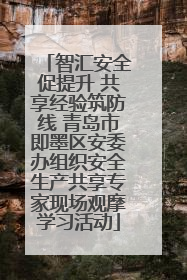 智汇安全促提升 共享经验筑防线 青岛市即墨区安委办组织安全生产共享专家现场观摩学习活动