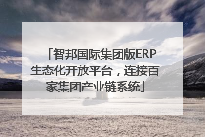智邦国际集团版ERP生态化开放平台，连接百家集团产业链系统