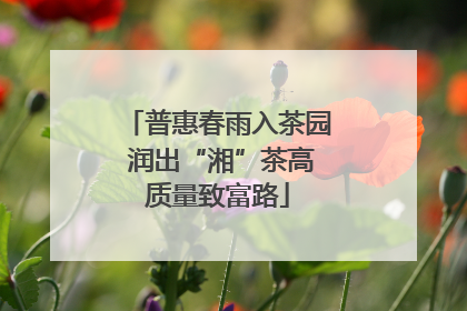 普惠春雨入茶园 润出“湘”茶高质量致富路
