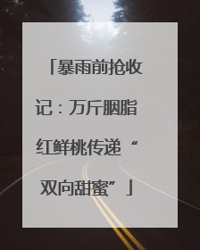 暴雨前抢收记：万斤胭脂红鲜桃传递“双向甜蜜”