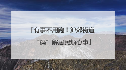 有事不用跑！沪郊街道一“码”解居民烦心事