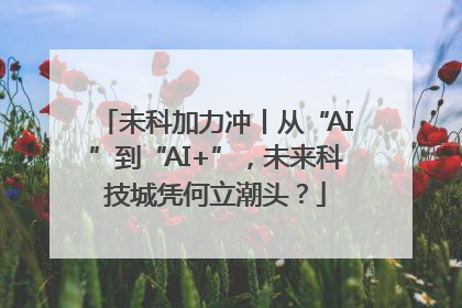 未科加力冲丨从“AI”到“AI+”，未来科技城凭何立潮头？