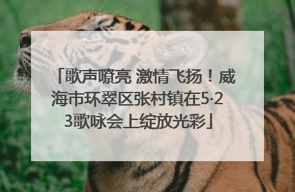 歌声嘹亮 激情飞扬！威海市环翠区张村镇在5·23歌咏会上绽放光彩