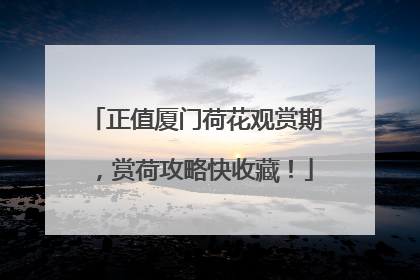 正值厦门荷花观赏期，赏荷攻略快收藏！