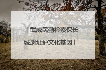武威民勤检察保长城遗址护文化基因