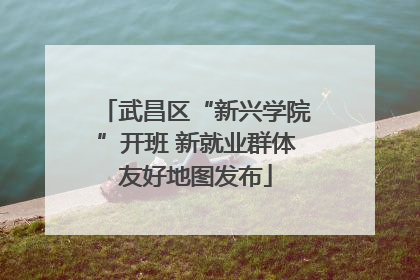 武昌区“新兴学院”开班 新就业群体友好地图发布