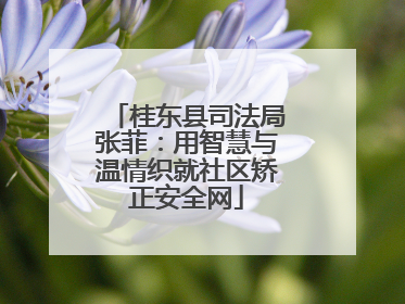 桂东县司法局张菲：用智慧与温情织就社区矫正安全网