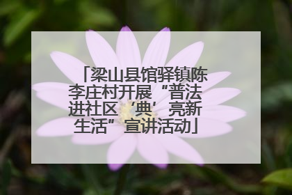 梁山县馆驿镇陈李庄村开展“普法进社区‘典’亮新生活”宣讲活动
