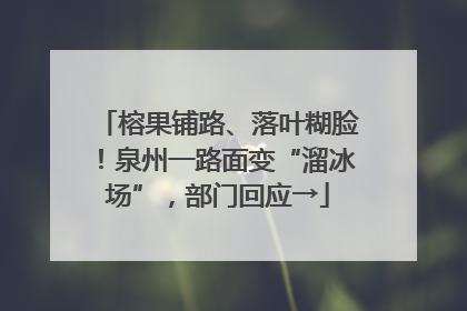 榕果铺路、落叶糊脸！泉州一路面变“溜冰场”，部门回应→
