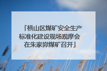 横山区煤矿安全生产标准化建设现场观摩会在朱家峁煤矿召开