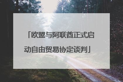欧盟与阿联酋正式启动自由贸易协定谈判