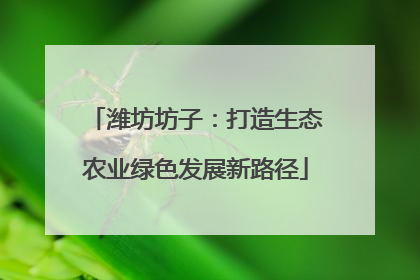 潍坊坊子：打造生态农业绿色发展新路径