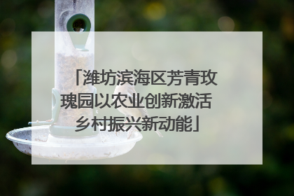 潍坊滨海区芳青玫瑰园以农业创新激活乡村振兴新动能