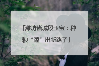 潍坊诸城殷玉宝：种粮“蹚”出新路子