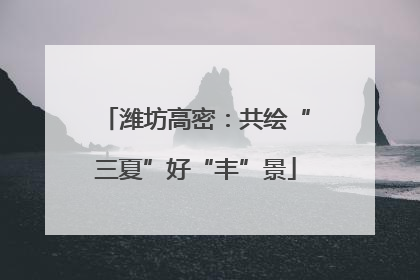 潍坊高密：共绘“三夏”好“丰”景