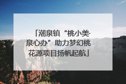 潮泉镇“桃小美·泉心办”助力梦幻桃花源项目扬帆起航