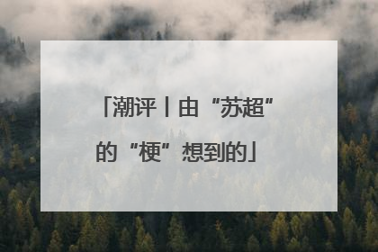 潮评丨由“苏超”的“梗”想到的