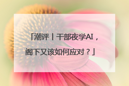 潮评丨干部夜学AI，阁下又该如何应对？