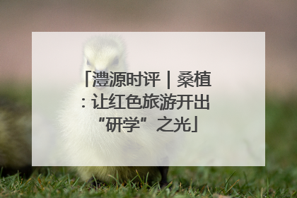 澧源时评｜桑植：让红色旅游开出“研学”之光