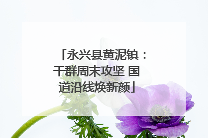 永兴县黄泥镇：干群周末攻坚 国道沿线焕新颜