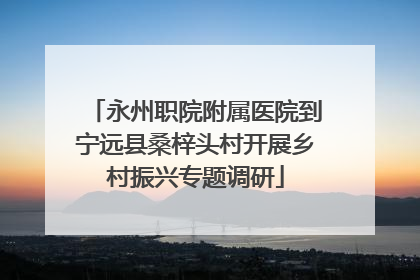 永州职院附属医院到宁远县桑梓头村开展乡村振兴专题调研