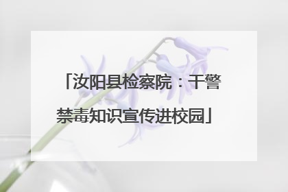 汝阳县检察院：干警禁毒知识宣传进校园