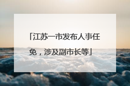 江苏一市发布人事任免，涉及副市长等