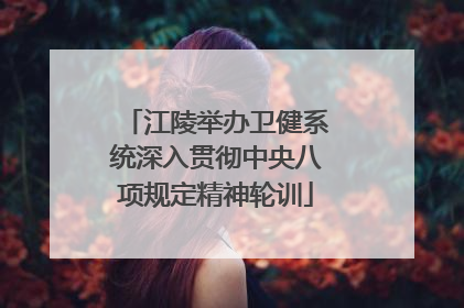 江陵举办卫健系统深入贯彻中央八项规定精神轮训