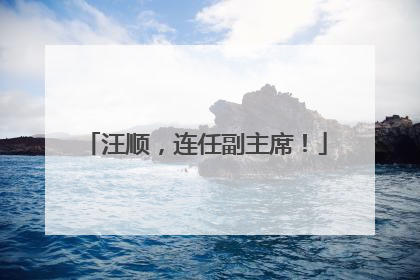 汪顺，连任副主席！