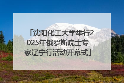 沈阳化工大学举行2025年俄罗斯院士专家辽宁行活动开幕式
