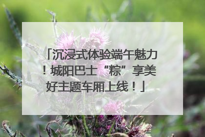 沉浸式体验端午魅力！城阳巴士“粽”享美好主题车厢上线！