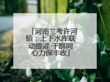 河南兰考许河镇：上下水库联动提灌 干群同心力保丰收