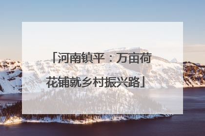河南镇平：万亩荷花铺就乡村振兴路