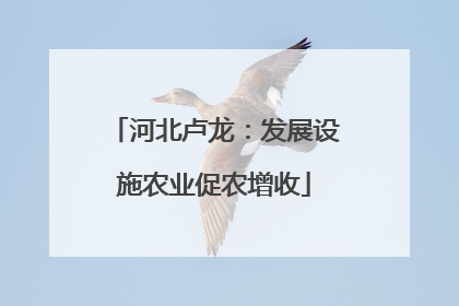 河北卢龙：发展设施农业促农增收