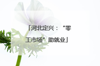 河北定兴：“零工市场”助就业