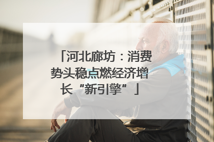 河北廊坊：消费势头稳点燃经济增长“新引擎”
