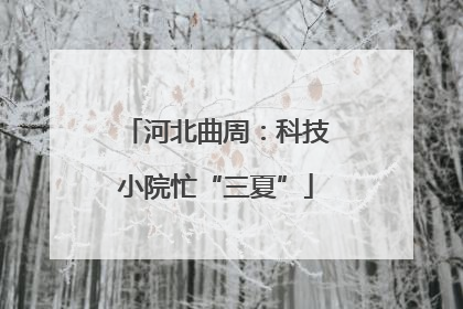 河北曲周：科技小院忙“三夏”