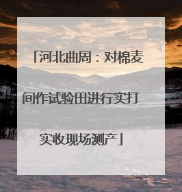 河北曲周：对棉麦间作试验田进行实打实收现场测产
