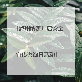 泸州纳溪开启安全宣传咨询日活动