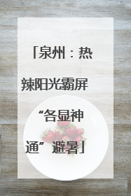 泉州：热辣阳光霸屏 “各显神通”避暑