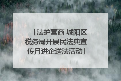 法护营商 城阳区税务局开展民法典宣传月进企送法活动
