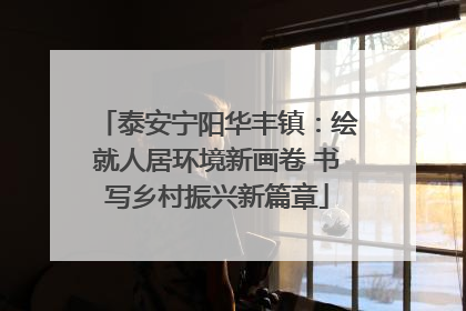 泰安宁阳华丰镇：绘就人居环境新画卷 书写乡村振兴新篇章