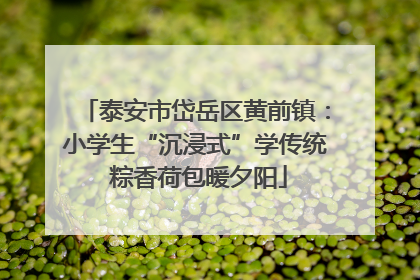 泰安市岱岳区黄前镇：小学生“沉浸式”学传统 粽香荷包暖夕阳