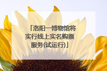 洛阳一博物馆将实行线上实名购票服务(试运行)