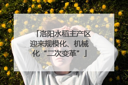 洛阳水稻主产区迎来规模化、机械化“二次变革”